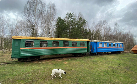 Музей-заповедник. Наши планы