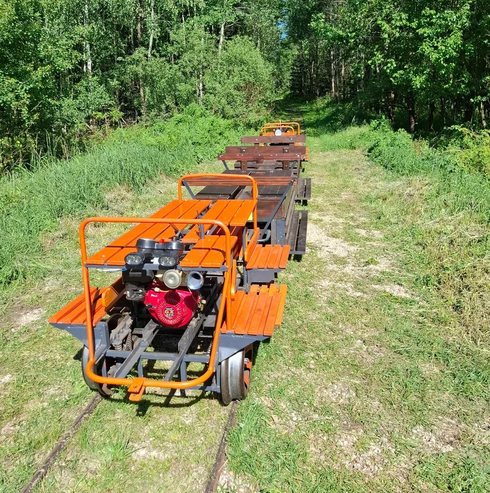Узкоколейка в заказнике «Озёры»